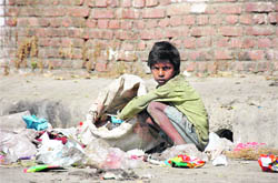 A rag-picker sifts through garbage on the roadside in Dehradun on Friday.