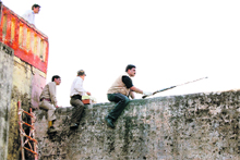 Forest officials and WFI experts on a wall of the Haridwar District Jail attempt to tranquilise a leopard; 