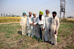 Agriculture development officer Dr Jaswinder Brar showing the wheel hoe technique to the farmers at Manuke village in Moga district