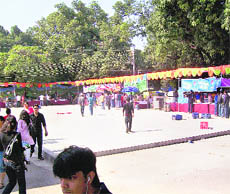 A few visitors at the IIT Hobbies Club, venue of Thomso-09, on the conclusion day in Dehradun on Sunday. 