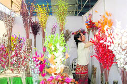 Anelu, an entrepreneur from Nagaland, participates in Saras Mela in Dehradun. 