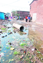 Colony No 4 at Industrial Area, Phase 1, Chandigarh, in a bad shape. 