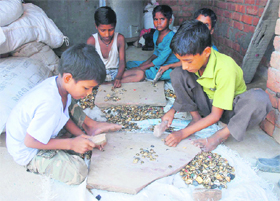 Despite tall claims of the government about stringent curbs on child labour, such children continue to work under hazardous conditions in Panipats Batra Colony.