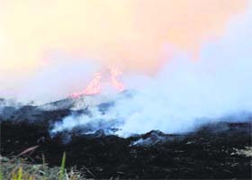 Paddy stubble being burnt in a field