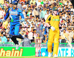 MS Dhoni reacts after the dismissal of Shane Watson in Mohali ODI on Monday. Australia won the match by 24 runs.