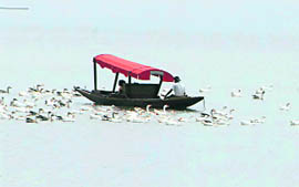 Tourists enjoy shikara ride at Sukhna Lake in Chandigarh.