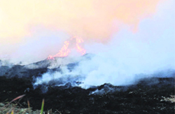 Paddy stubble being burnt in a field.