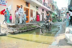 Sewage spilling onto a street at Karsan Colony, Sector 52, in Chandigarh