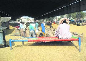 A farmer relaxes on a cot as labourers fill bags with paddy at the Sirsa grain market