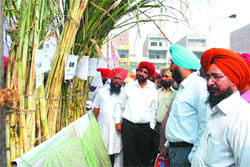 Deputy Commissioner K.S. Pannu visits a stall at the kisan mela in Amritsar on Friday