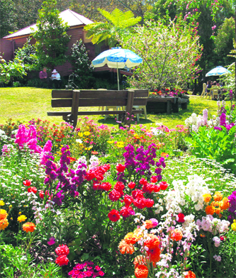 Dont miss the last and final call for planting winter annuals.