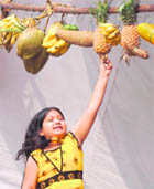 A young girl tries to touch a pineapple at the South Indian Food Carnival at St. Marys School on Sunday.
