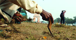 A plantation drive in progress at India Gate in New Delhi on Sunday.