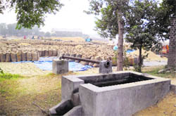 Bags of paddy lay in open fields near a tubewell on the outskirts of Dehlon and Gopalpur villages near Ahmedgarh.