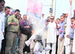 Activists of the Hindu Sikh Jagriti Sena burn an effigy of Union Agriculture Minister Sharad Pawar in Ludhiana on Sunday.