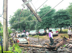 A car damaged after a tree fell on it at Sector 34, Chandigarh, on Monday.