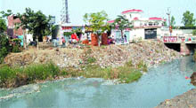 A view of the Ganda Nallah alongside the area of ward number five in Amritsar.
