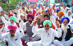 Farmers under the banner of the Jamhoori Kisan Sabha stage a dharna outside the Deputy Commissioner office in Amritsar on Tuesday.