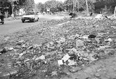 Insanitary conditions prevail along one of the Mohali roads.
