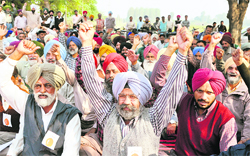 Employees raise slogans in favour of the PAU Employees Forum in Ludhiana