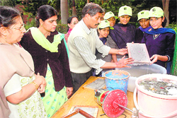 Teachers recycle waste papers during a workshop at Government Model Senior Secondary School, Sector 46, Chandigarh