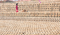 A boy shoves a cart with clay at a brick kiln near Ludhiana