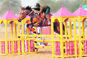 A participant crosses a hurdle at the horse show in Chandigarh on Sunday.