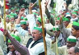Sugarcane farmers protest against Union minister of agriculture Sharad Pawar 