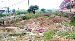 The ill-maintained green belt in the Ranjit Avenue area falling under ward number 6 in Amritsar.