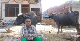  Dharam Pal sits disappointed on a cot in front of his house in Birring village near Jalandhar on Tuesday.