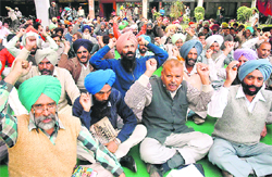 Members of the Punjab Government Teachers Union raise slogans for their demands in Sector 34 of Chandigarh 