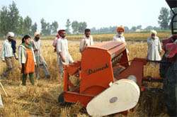 Officials of Krishi Vigyan Kendra, Bathinda, giving a demonstration of happy seeder.