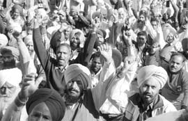 Members of the PSEB Employees Federation stage a dharna in support of their demands at the PSEB headquarters in Patiala on Thursday.