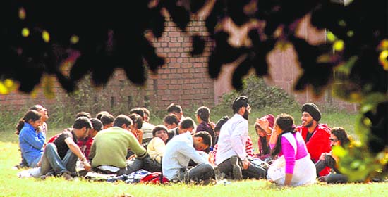 With the mercury taking a plunge, students of Panjab University enjoy sittingout in the sun