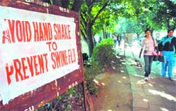 Banners reading Avoid handshake to prevent swine flu have been put up onthe PU campus.