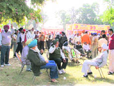 Employees wait for their turn to cast their vote at the PAU, Ludhiana, on Thursday.