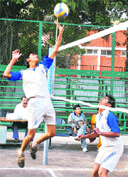 A player in action during a volleyball match at the Sports Complex, Sector 7, Chandigarh, on Saturday.