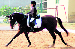 Zorawar with his horse during the FEI World Dressage Challenge