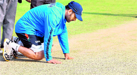 MS Dhoni takes a closer look at the pitch at the Green Park Stadium in Kanpur on Sunday.
