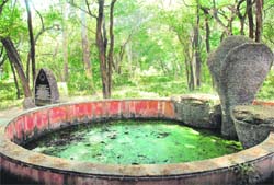 A tank constructed at Smriti Upavana in a shambles in Chandigarh.