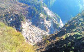 A view of the destruction caused to lush green forest at Malana. 
