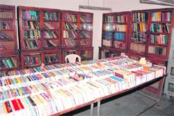 A collection of books at the library.