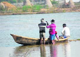 Fishermen throw a protective shield to save fish from birds in a pond at Sumani village in Kurukshetra.