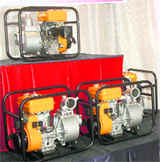 Multi-fuel pumping set