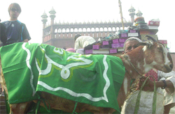 The goat worth Rs 1.25 lakh at Meena Bazar, Jama Masjid, in New Delhi 