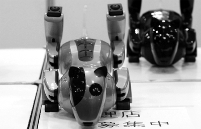 Pet robot "Genibo" dance along with a music during the international robot exhibition 2009 in Tokyo November 25, 2009. The intelligent pet robot can recognise its owner and show emotions when it see its owner.
