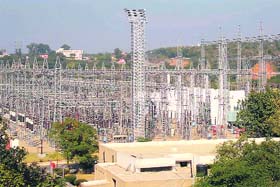 Gladni Grid, Narwal