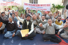 Non-teaching employees of DAV College staging a protest in Bathinda on Satuday.