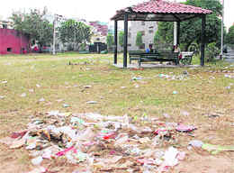 Garbage littered in a Sector 44 park in Chandigarh.