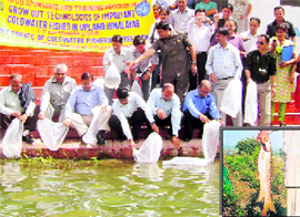 A programme for coldwater fish breeding being conducted at the Bhim Tal lake; and (inset) a golden mahseer fish.